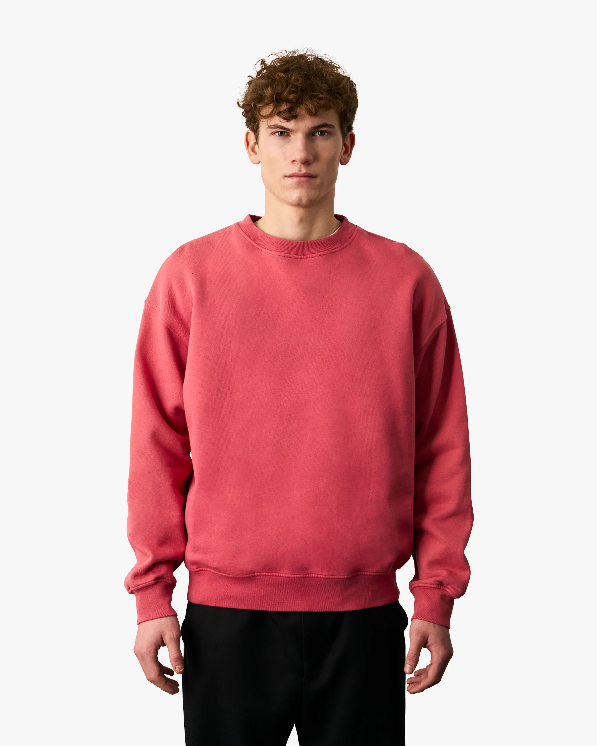 Noah® | Horizon Organic Crew Neck - Image 3