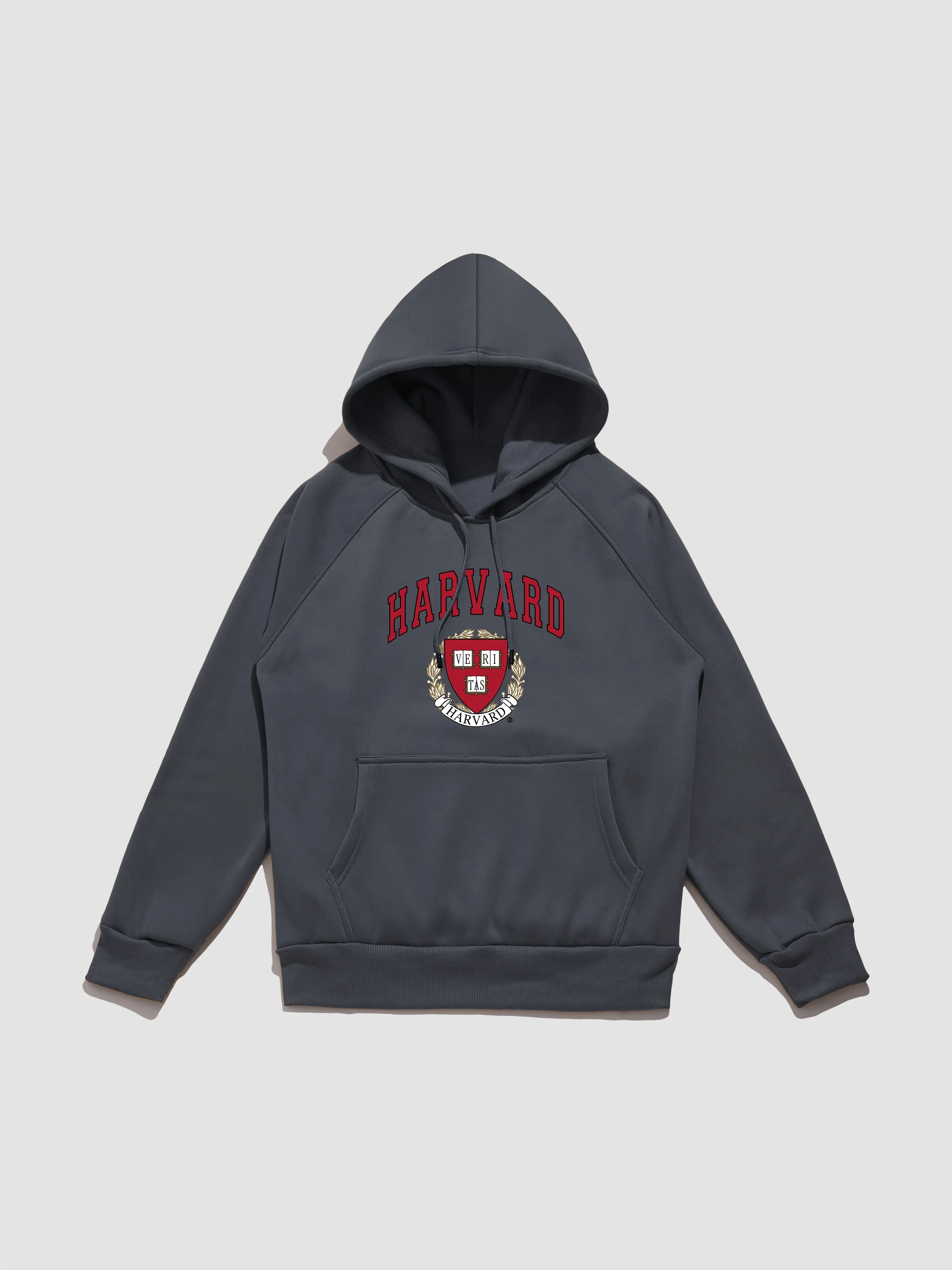 Ryker | Harvard Print Hoodie - Image 4